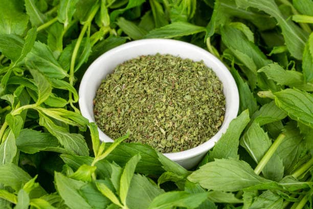 خرید نعنا خشک شده خانگی + قیمت فروش استثنایی